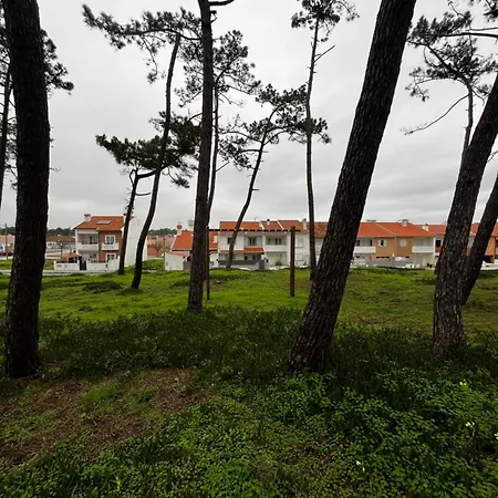 Areal Da Ria Holiday home